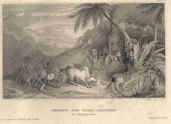 afbeelding van prent Gegend Bey Fort Dauphin in Madagascar van Poppel (Tolagnaro, Tolanaro,Taolanaro, Faradofay)