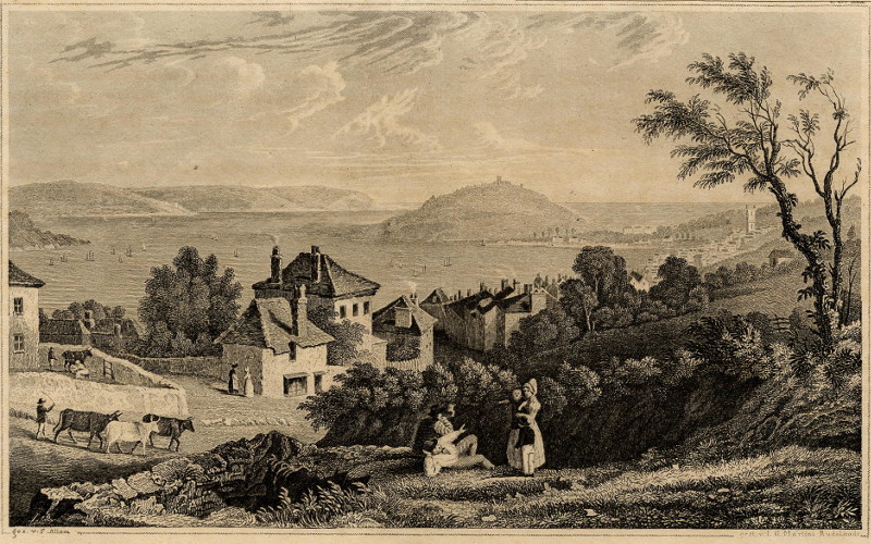 afbeelding van prent Falmouth Harbour van F. Allom, G. Martini Rudolstadt (Falmouth)