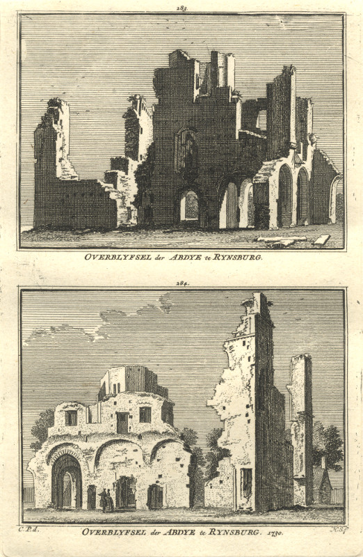 afbeelding van prent Overblyfsel der Abdye te Rynsburg van H. Spilman, C. Pronk (Rijnsburg)