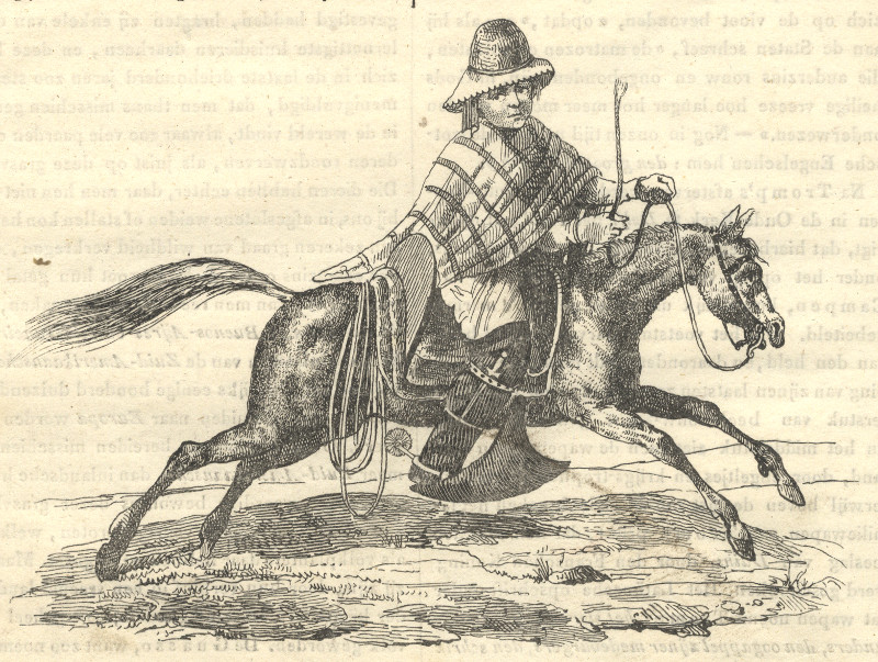 afbeelding van prent Guasso (Gaucho) van nn