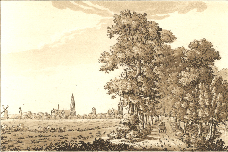 afbeelding van prent Delft towards the Hague van nn naar S. Ireland (Delft)