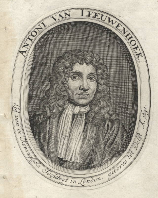 afbeelding van prent Antoni van Leeuwenhoek, Lid van de Koninglyke societeyt in London, geboren tot Delft Anno 1632 van nn naar Jan Verkolje (wetenschappers, )