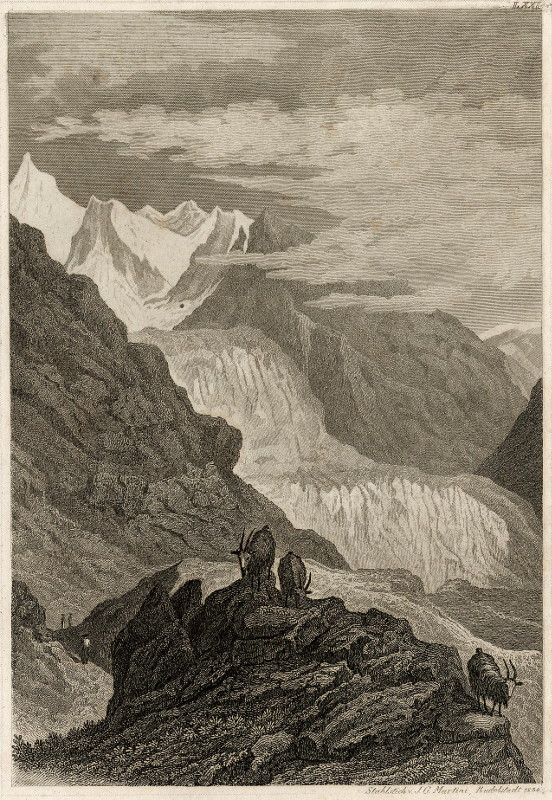 afbeelding van prent Rhone - Gletscher van I.G. Martini (Rhone - Gletscher)