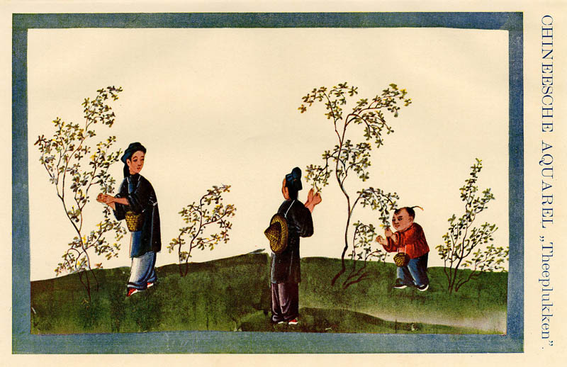 afbeelding van prent Chineesche aquarel "Theeplukken" van Winkler Prins