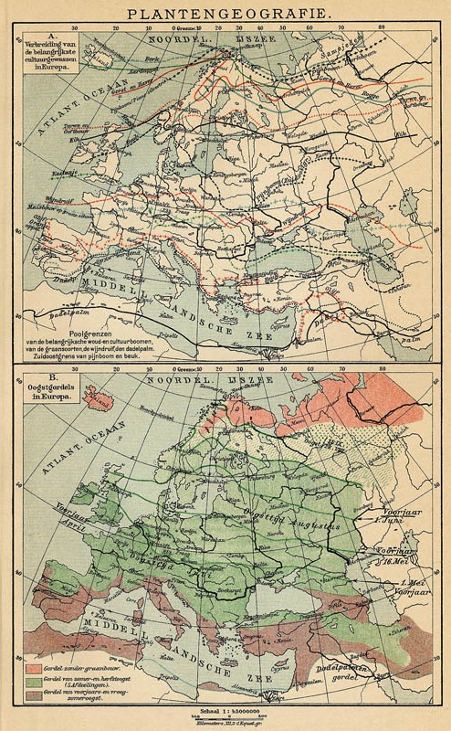 afbeelding van kaart Plantengeografie van Winkler Prins