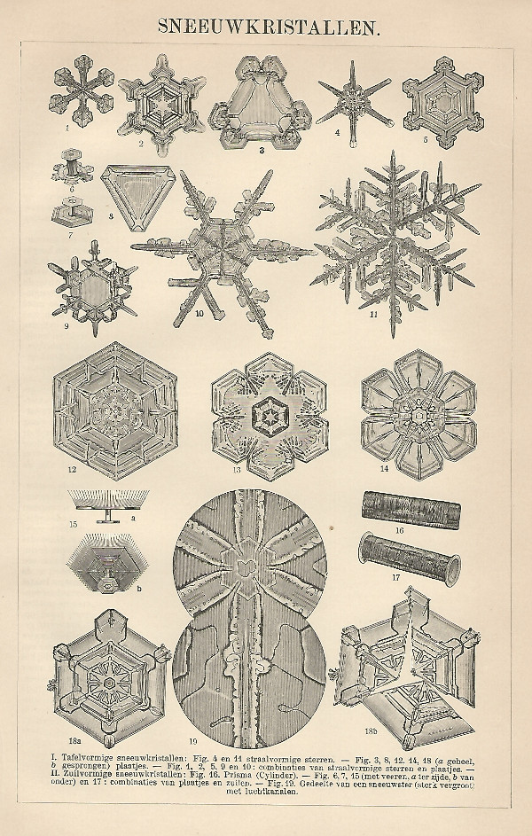 afbeelding van prent Sneeuwkristallen van Winkler Prins