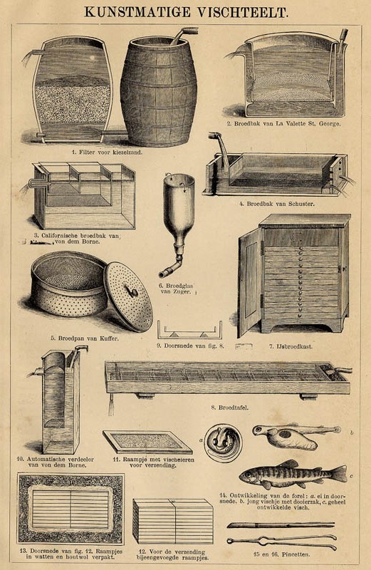 afbeelding van prent Kunstmatige Vischteelt van Winkler Prins