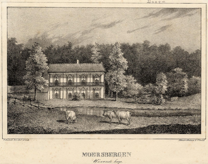 afbeelding van prent Moersbergen, Warande huys van T. Soeterik (Doorn)
