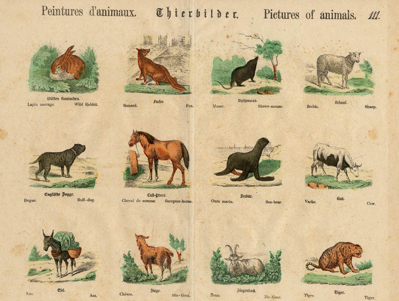 afbeelding van prent Peintures d´animaux, Thierbilder, Pictures of animals van nn