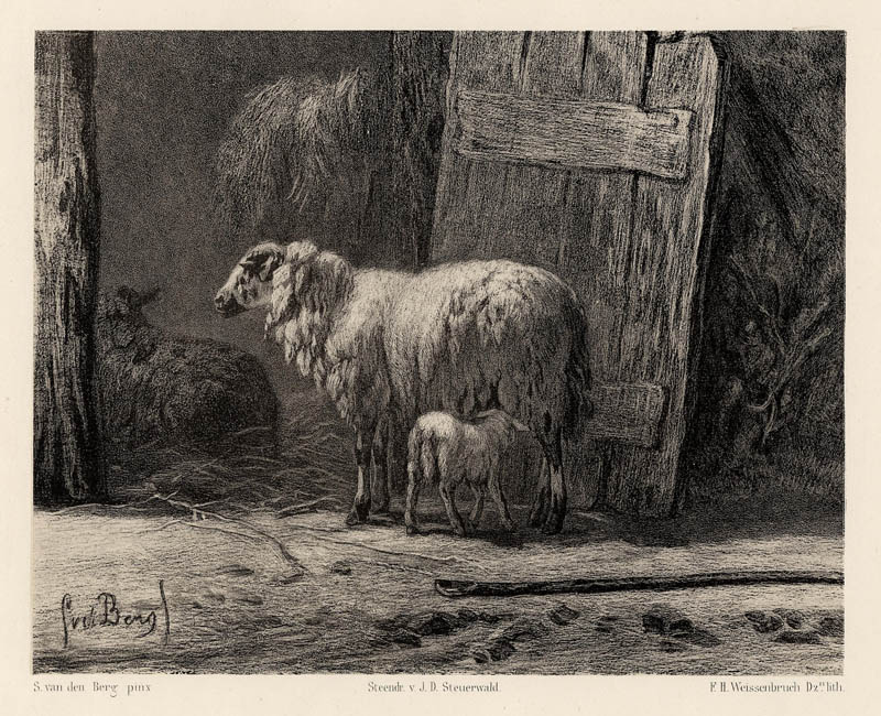 afbeelding van prent Schapen in de stal van F.H. Weissenbruch naar S. van den Berg (Schaap)