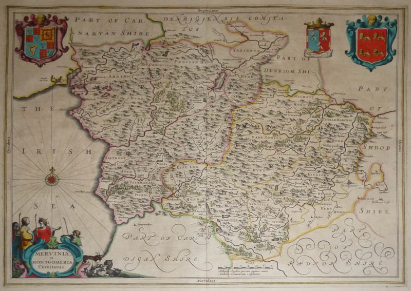 afbeelding van kaart Mervinia et Montgomeria Comitatus van Janssonius