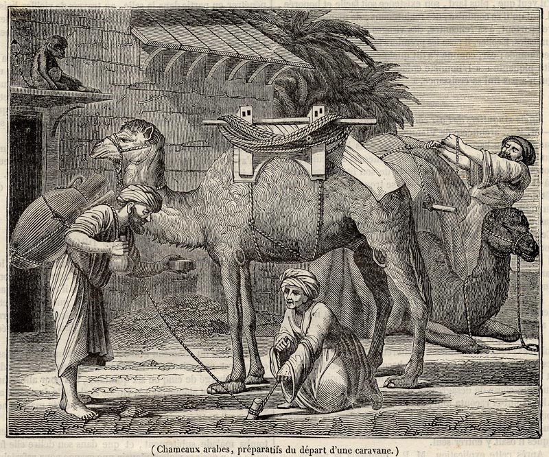 afbeelding van prent Chameuax arabes, préparatifs du départ dune caravane van nn