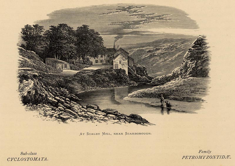 afbeelding van prent At Scalby Mill, near Scarborough van Benjamin Fawcett, naar A.F. Lydon (Scarborough)