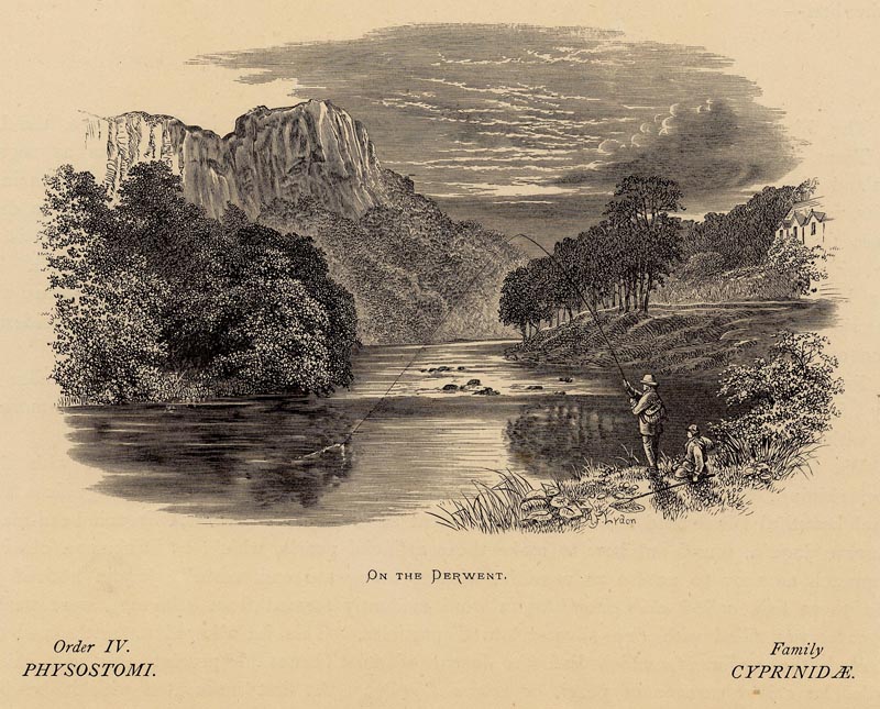 afbeelding van prent On the Derwent van Benjamin Fawcett, naar A.F. Lydon