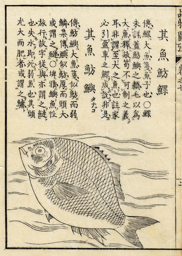 afbeelding van prent Boek der Liederen / Mao shi pin wu tu kao, vis van nn (Vis)