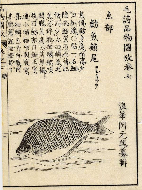 afbeelding van prent Boek der Liederen / Mao shi pin wu tu kao, vis  van nn (Vis)
