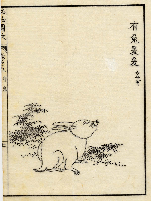 afbeelding van prent Boek der Liederen / Mao shi pin wu tu kao, konijn van nn
