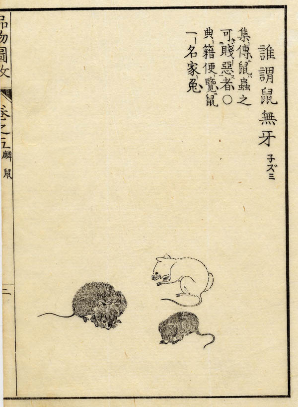 afbeelding van prent Boek der Liederen / Mao shi pin wu tu kao, ratten van nn