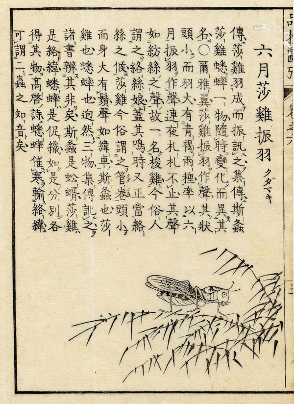 afbeelding van prent Boek der Liederen / Mao shi pin wu tu kao, insect van nn (Insect)