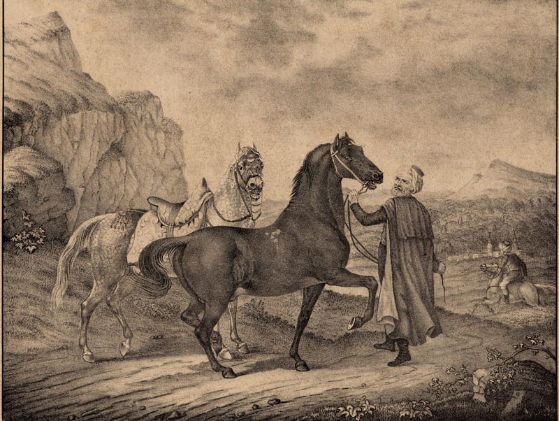 afbeelding van prent Twee paarden van J. Susenbeth (mogelijk) (Paard)