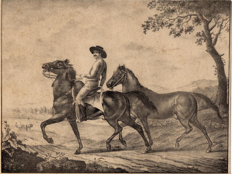 afbeelding van prent Twee paarden van J. Susenbeth (mogelijk) (Paard)