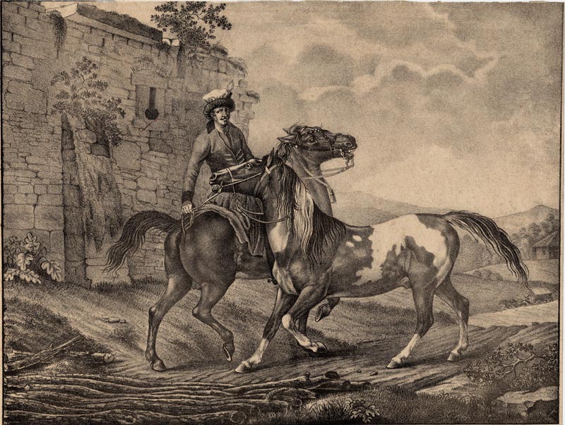 afbeelding van prent Twee paarden van J. Susenbeth (mogelijk) (Paard)