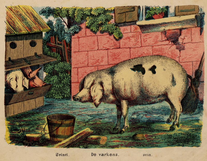 afbeelding van prent De varkens (Svinet, svin.) van nn (Varken)