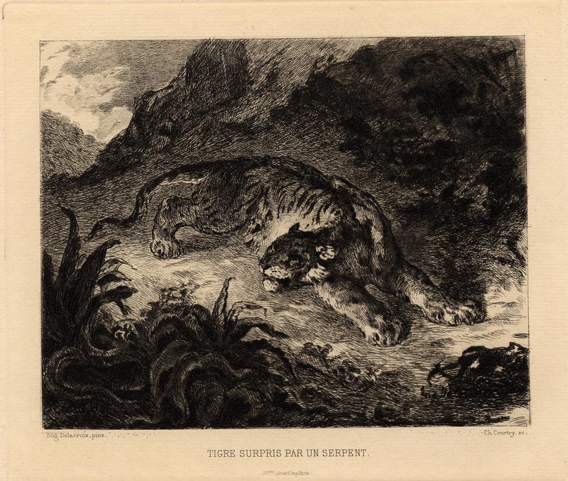 afbeelding van prent Tigre surpris par un serpent (Tijger, verrast door een slang) van Charles Jean Louis Courtry, naar Eugène Delacroix (Kat en katachtige)