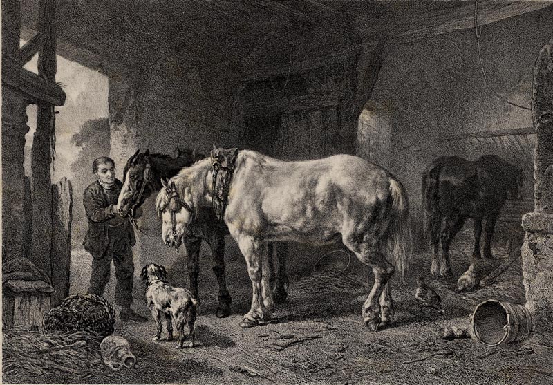 afbeelding van prent Paarden in de stal van W. Verschoor (Paard)