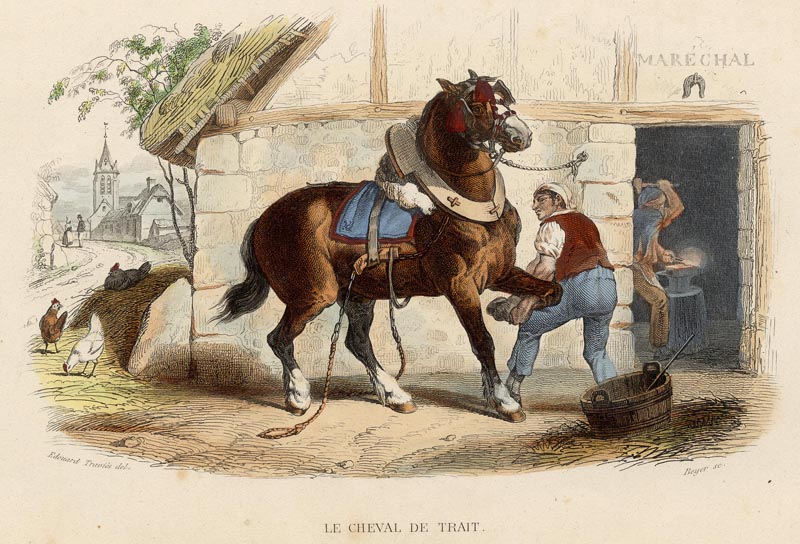 afbeelding van prent Le cheval de trait (het trekpaard) van Edouard Travies (Paard)