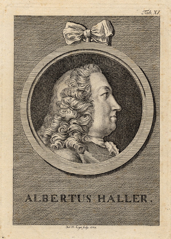 afbeelding van prent Albertus Haller van Joh. H. Lips (wetenschappers, )