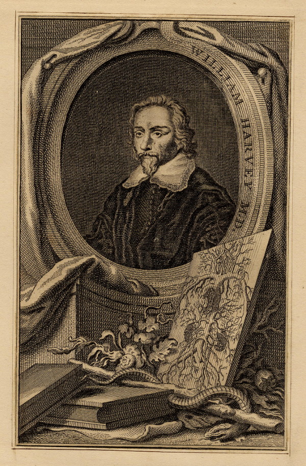 afbeelding van prent William Harvey M.D.  van Wilhelm von Bemmel (wetenschappers, )