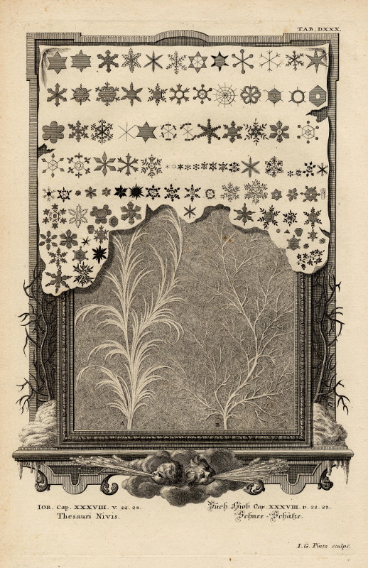 afbeelding van prent Schnee = Schätze van Johann Georg Pintz