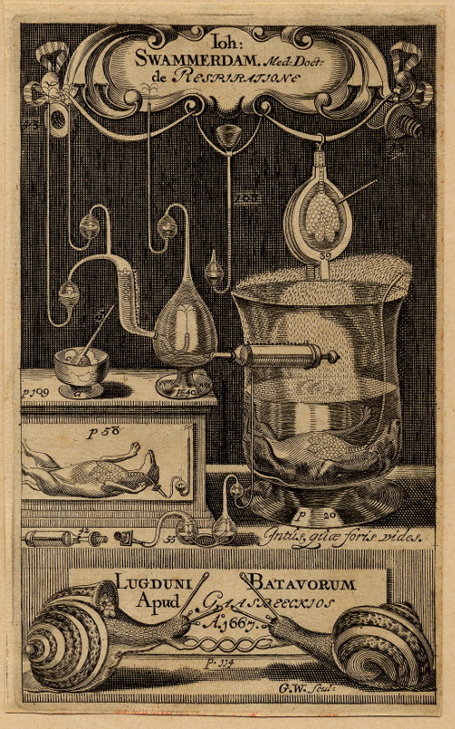 afbeelding van prent Joh. Swammerdam, Med. Doct. de respiratione van nn (wetenschappers, )