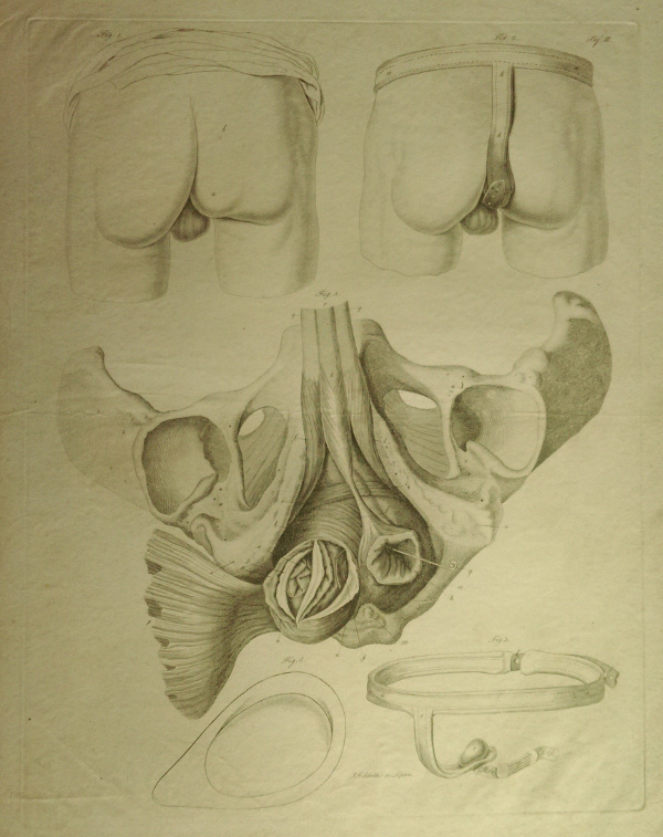 afbeelding van prent Anatomische prent van Johann Friedrich Schröter (Geneeskunde, )