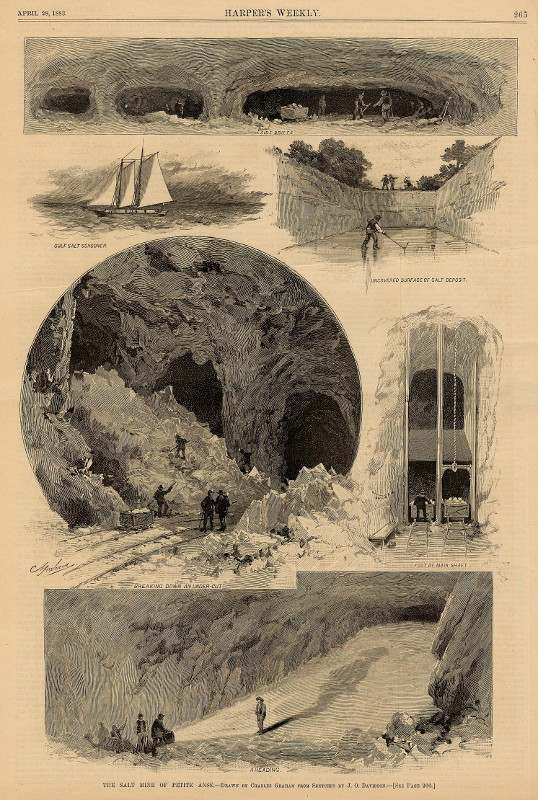 afbeelding van prent The salt mine of Petite Anse van Charles Graham, J.O. Davidson (Mijnbouw, )