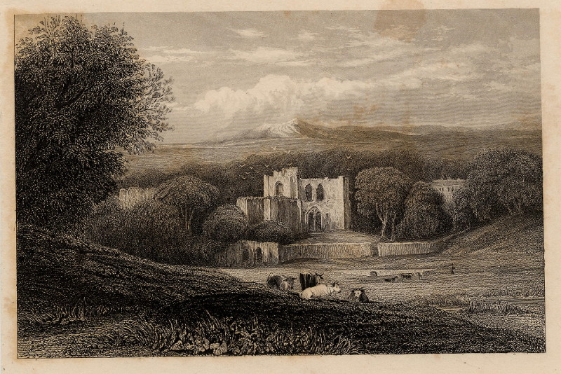 afbeelding van prent Furness Abbey, Lancashire van W. Henshell, naar D. Cox (Barrow-in-Furness)