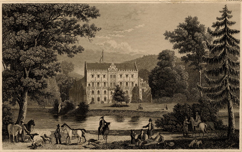 afbeelding van prent Schloss Reinhardsbrunn bei Gotha van nn (Gotha)
