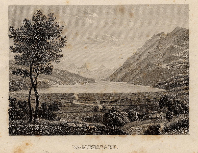 afbeelding van prent Wallenstadt van nn (Walenstadt)