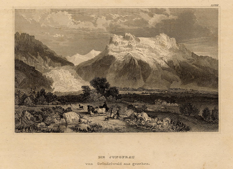 afbeelding van prent Die Jungfrau von Grindelwald aus gesehen van nn (Jungfrau)