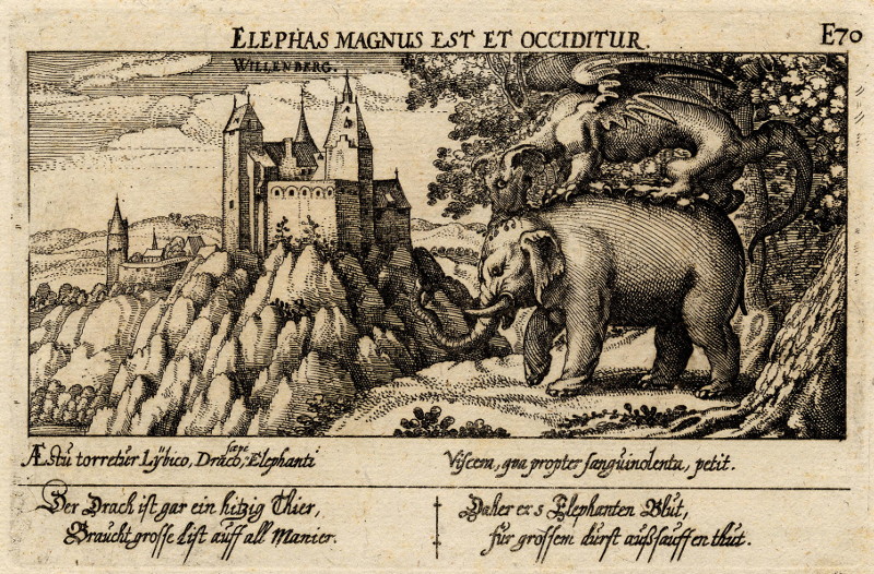 afbeelding van prent Elephas magnus est et occiditur - Willenberg van Daniel Meisner (Wildenburg)