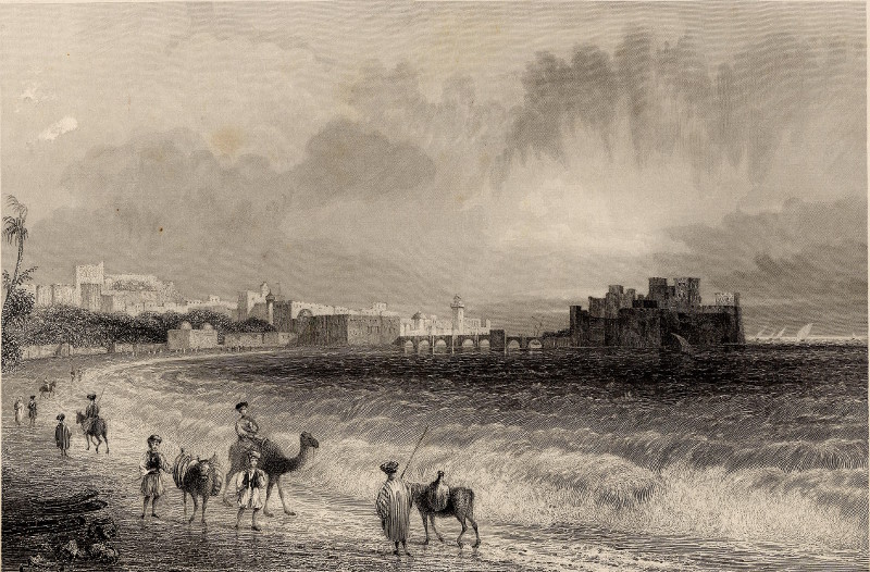 afbeelding van prent Sidon, on the approach from Beirout van W.H. Bartlett, J.P. Heath (Sidon, Saida)