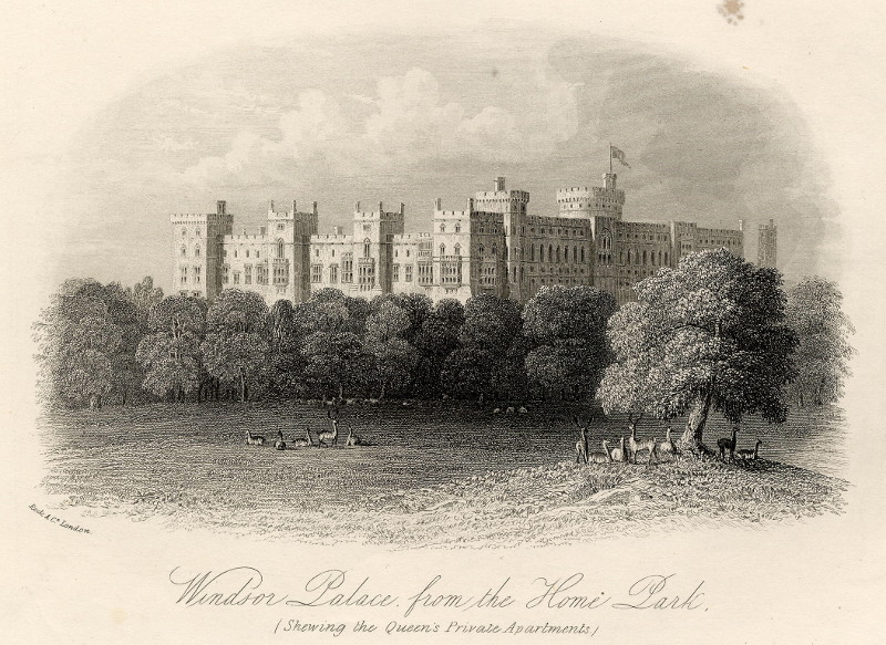 afbeelding van prent Windsor Palace, from the Home Park. (Showing the Queen´s Private Apartments) van William & Henry Rock (Windsor)