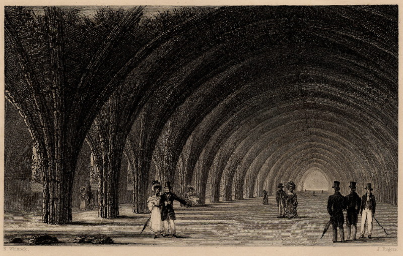 afbeelding van prent The Cloisters, Fountains Abbey van N. Whittock, J. Rogers (Barrow-in-Furness)