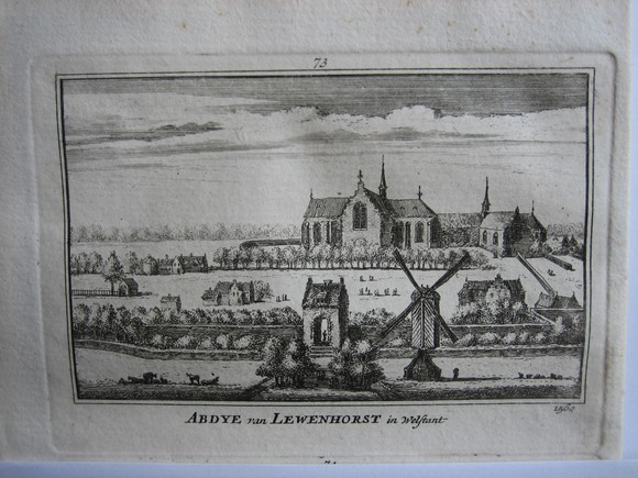 afbeelding van prent Abdij van Lewenhorst te Westland Rijnsburg van Abraham Rademaker (Rijnsburg)