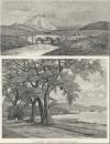 Afbeelding van gezicht Le mont Errigal / Le Lough Swilly gezicht Le mont Errigal / Le Lough Swilly