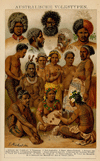 Afbeelding van de prent Australische Vokstypen Prent Australische Vokstypen