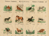 Prent Peintures d´animaux, Thierbilder, Pictures of animals