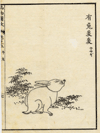 thmbnail of Boek der Liederen / Mao shi pin wu tu kao, konijn