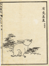 Afbeelding van de prent Boek der Liederen / Mao shi pin wu tu kao, konijn Prent Boek der Liederen / Mao shi pin wu tu kao, konijn